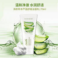 Пінка для вмивання Nature Republic Fresh Heab Aloe Cleanser Foam Південна Корея 170мл