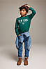 Реглан для хлопчика зелений New York H&M 110/116см, фото 2