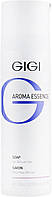 Мыло для чувствительной кожи Gigi Aroma Essence Soap For Delicate Skin, 250 ml
