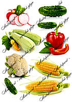 Съедобная картинка "Овощи" сахарная и вафельная картинка а4