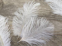 Перья страуса белые декоративные 5 шт/уп 15-18 см