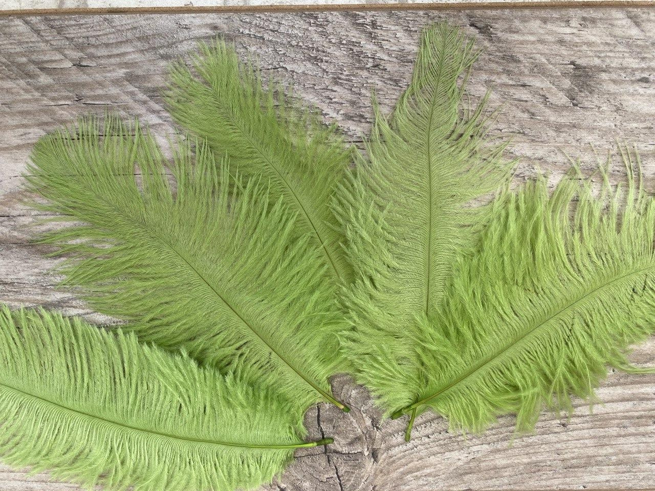 Пір'я страуса зелені декоративні, 5 шт/уп 15-18 см, фото 1