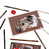 Професійні вугільні кольорові олівці KALOUR набір 12 штук, фото 3