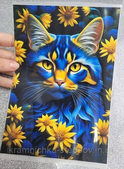 Термонаклейка на одяг, фото 1