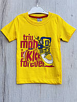 Футболка для мальчика р. 92. Essu