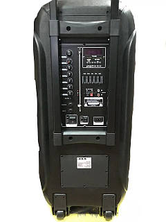 七々 Потужна колонка ZXX-7575 два мікрофони портативна колонка з