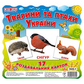 Картки міні "Тварини та птахи України" (У) 13107008, Toyman