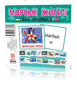 Картки міні "Морські жителі" (110х110 мм) UA-ENG 72752, Toyman