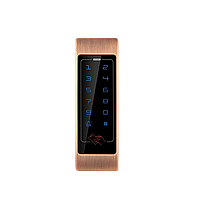 Контролер доступу GV-CEM-011 Outdoor (Bronze)