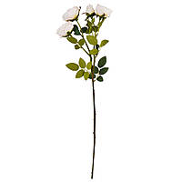 Троянда дамаська, ніжно-рожева 56 см