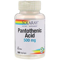 Пантотеновая кислота Solaray Pantothenic Acid 500 mg 100 Veg Caps SOR-04380 GL, код: 7519931