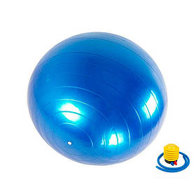 М'яч для фітнесу (фітбол) "HMS" Newt 487-626-1-B з насосом 65 см, Toyman