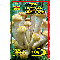 Мицелий грибов Насіння країни Опенок осенний 10 г KS, код: 7718795