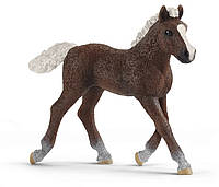 Игровая фигурка Schleich Шварцвальдский жеребенок 80х22х75 мм (6688020) KS, код: 8256211