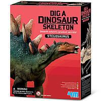 Набор для раскопок Скелет динозавра 4M 00-03229 Стегозавр, Toyman