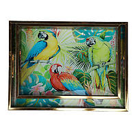 Комплект подносов Parrots 40х30 см из 2 штук AL121002 Lefard MN, код: 8381793