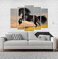 Модульна картина Poster-land Чорний Кінь Art-85_5 KS, код: 6502088