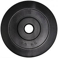 Диск гантельный композитный в пластиковой оболочке Rock Pro Newt NE-PL-D-2, 2,5 кг, Toyman