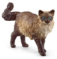 Игровая фигурка Schleich Кошка Рэгдолл 65х15х39 мм (6833836) KS, код: 8256337