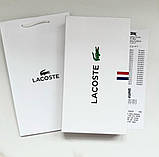 Двосторонній ремінь із двома пряжками Lacoste, фото 3
