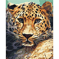 Картина по номерам Brushme Портрет леопарда (BS51736) GL, код: 7698568
