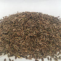 Укроп семена Карпаты 50 гр TS, код: 6946447
