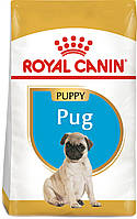 Сухой полнорационный корм для щенков Royal Canin Pug Puppy породы мопс в возрасте до 10 месяц MN, код: 7581495