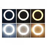 Лампа Кільцева LED 45 cm 18" | 256 Lights | Touch Switch | Adapter | LJJ-45, фото 6