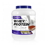 Протеин OstroVit Whey Protein 2000 g 66 servings Tiramisu ZK, код: 8312016