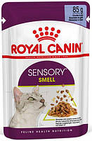 Влажный корм для кошек стимулирующий обонятельные рецепторы Royal Canin Sensory Smell in Jell GT, код: 7687633