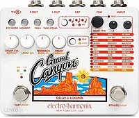 Electro Harmonix Grand Canyon Delay & Looper - efekt gitarowy
