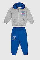 Костюм мала (кофта + штани) для хлопчика Breeze 1619 80 см Сірий (2000989929130) GL, код: 8309076