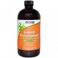 Комплекс для пищеварения NOW Foods Liquid Chlorophyll 473 ml Natural Mint Flavor KS, код: 7591034