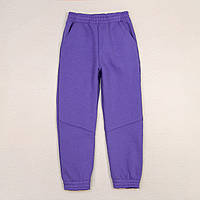 Спортивные штаны тринитка детские Dexter s 152 см Фиолетовый KS, код: 8372582