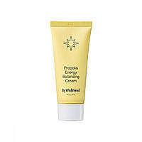 Увлажняющий крем с прополисом By Wishtrend Propolis Energy Boosting Balancing Cream 50 г KS, код: 8290194