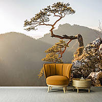 3Д фото обои природа 368х254 см Горы Пенины - Дерево на скале (10511P8) Лучшее качество