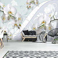 Флизелиновые три д обои в зал фото цветы 312x219 см 3д Белоснежные орхидеи (1206VEXXL) Лучшее качество