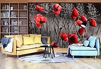 Флизелиновые фото обои красивые цветы 416x254 см красные маки (11763VEXXXL) Лучшее качество