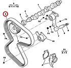 Ремінь ГРМ Fiat Ducato 230, Peugeot Boxer, Citroen Jumper (1994-2002) 1.9D/TD, 71739919, 081658, 1608488980, фото 5