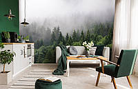 Флізелінові 3Д фото шпалери краєвид 254 x 184 см Туманний ліс на схилі (13907V4) Клей в подарунок