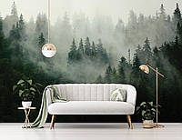 3д фото шпалери Пейзаж 254 x 184 см Зелений туманний ліс (13026P4) Клей в подарунок