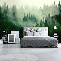 Флизелиновые фотообои в интерьере 368x280 см 3D Природа Зеленый хвойный лес в тумане (14210V10) Клей в подарок