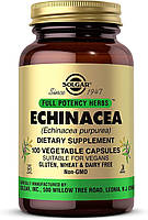 Экстракт эхинацеи Solgar, Echinacea, 100 капсул