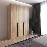 Шафа на 3 двері зі штангами та полицями для одягу, з чорними ручками M-32, фото 3