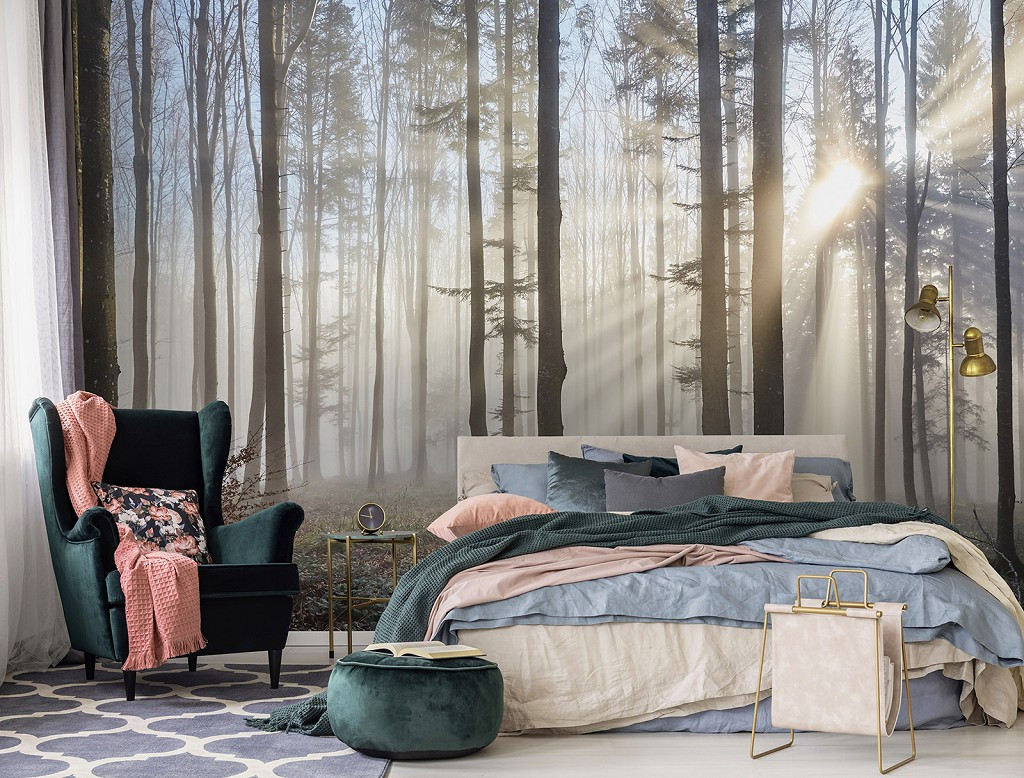 3D Флізелінові фотошпалери фото 368 x 254 см Природа - Туман крізь світлий ліс (13136V8) Найкраща якість, фото 1