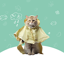 Дощовики для котів