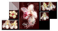 Модульная картина Декор Карпаты OR-009 138х71см Орхидеи (hub_iIAx40267) BS, код: 1224607