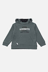 Худі для хлопчика 122 темно-зелений DIVONETTE ЦБ-00234629, 8426579 — 798