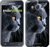 Панель Endorphone на Samsung Galaxy J5 (2015) J500H Красивый кот (3038u-100-26985) BS, код: 1390737