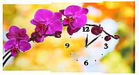 Настенные часы на холсте Декор Карпаты c32 Орхидеи (sGnC64611) HR, код: 1224805